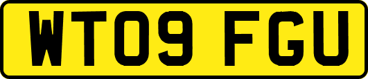 WT09FGU