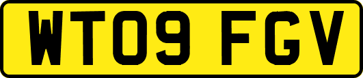 WT09FGV