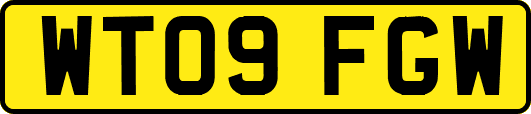WT09FGW