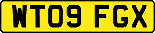 WT09FGX