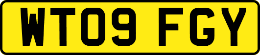 WT09FGY