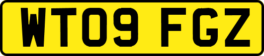 WT09FGZ