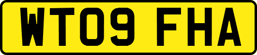 WT09FHA