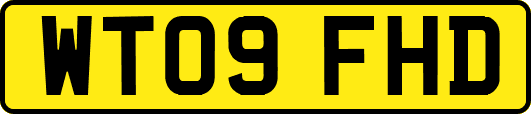 WT09FHD