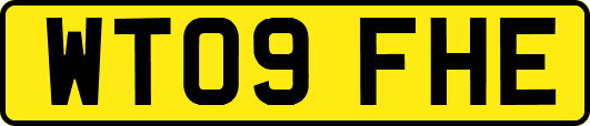 WT09FHE