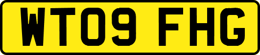 WT09FHG