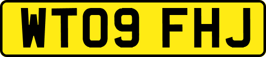WT09FHJ