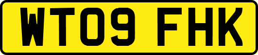 WT09FHK
