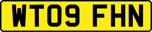 WT09FHN