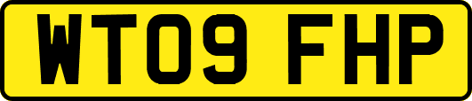 WT09FHP