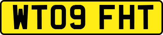 WT09FHT