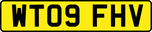 WT09FHV