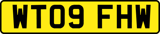 WT09FHW