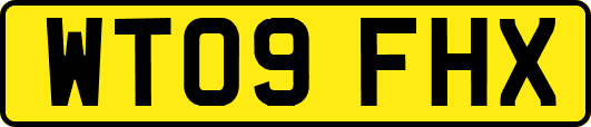 WT09FHX