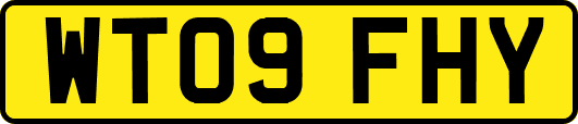 WT09FHY