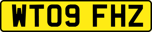 WT09FHZ