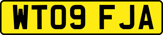WT09FJA