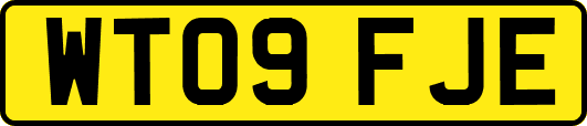 WT09FJE