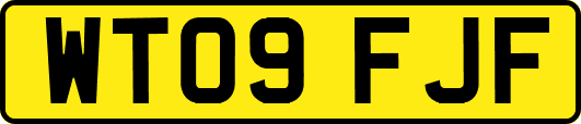 WT09FJF