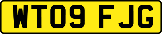 WT09FJG