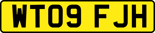 WT09FJH