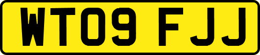 WT09FJJ