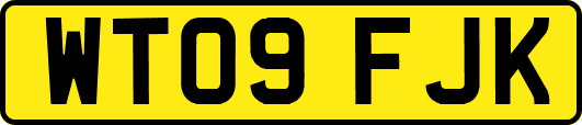 WT09FJK