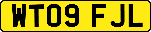WT09FJL