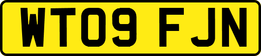 WT09FJN