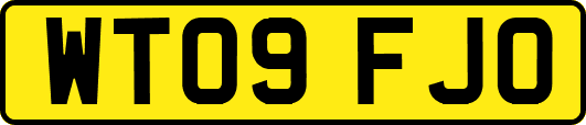 WT09FJO