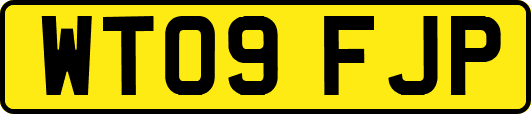 WT09FJP