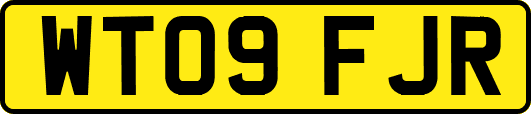 WT09FJR