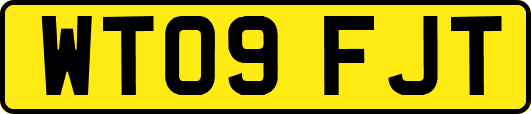 WT09FJT