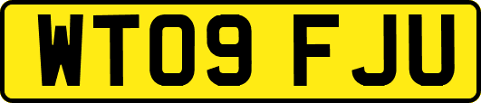 WT09FJU