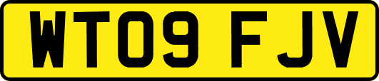 WT09FJV