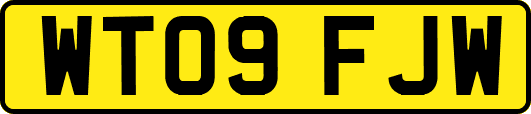 WT09FJW