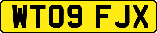 WT09FJX