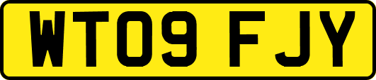 WT09FJY