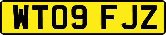 WT09FJZ
