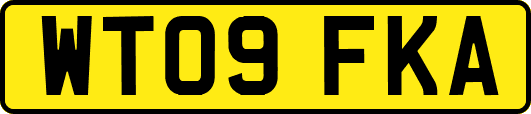 WT09FKA