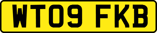 WT09FKB