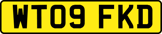 WT09FKD