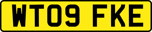 WT09FKE