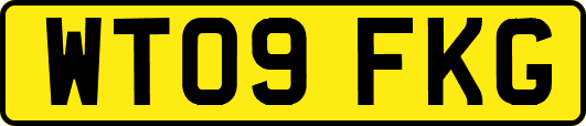 WT09FKG