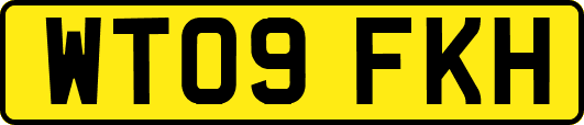 WT09FKH
