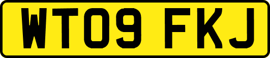 WT09FKJ