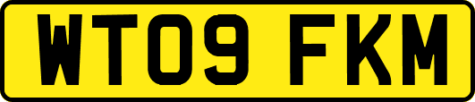WT09FKM