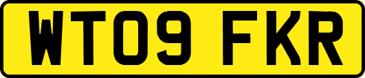 WT09FKR