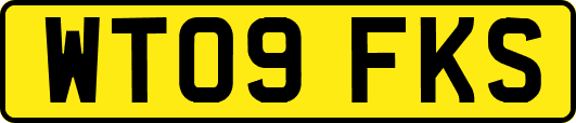 WT09FKS