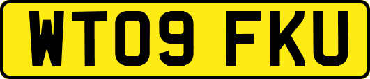 WT09FKU